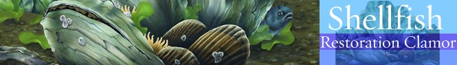 shellfishbanner.jpg