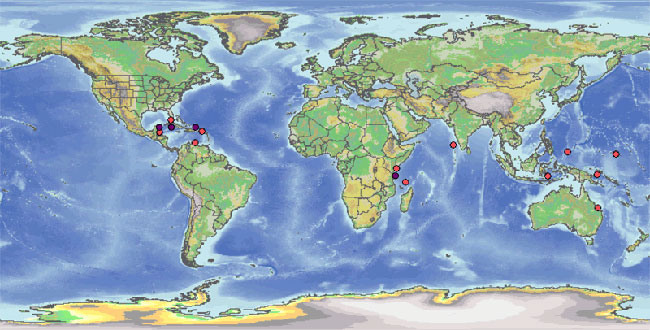 globalmap_all-cases.jpg