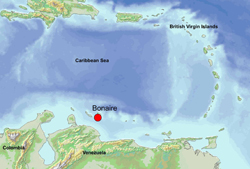 bonaire.jpg