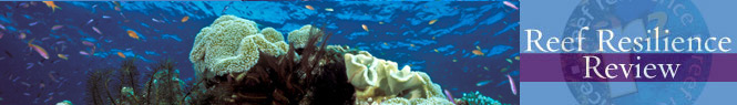 reefbanner.jpg